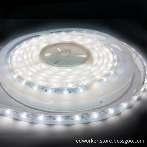 Bicolor Dual White LED Strip 2700-6500K CCT 2835LED Two Color LED Strip Light